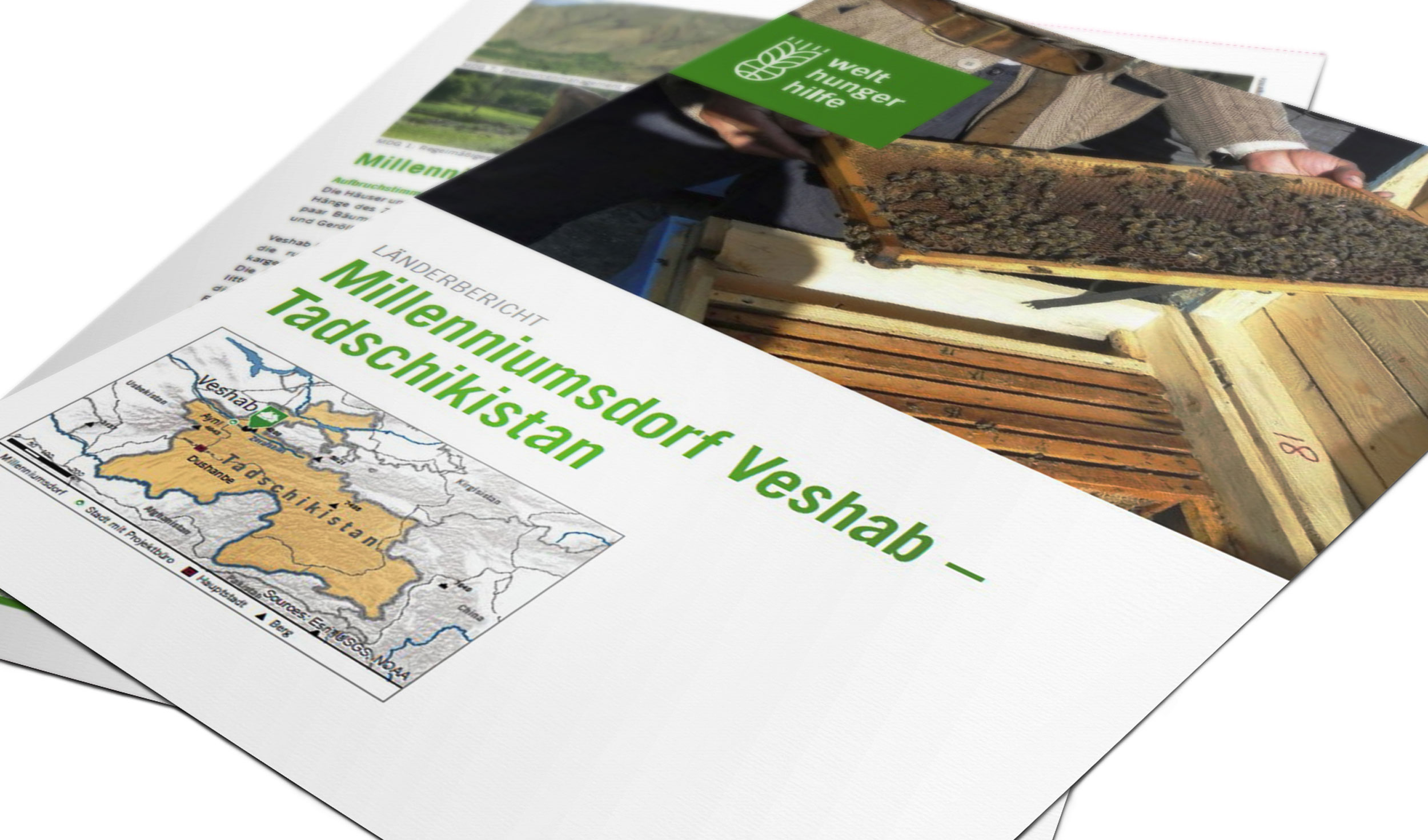 Teaserbild Länderbericht Milleniumsdorf Veshab Tadschikistan