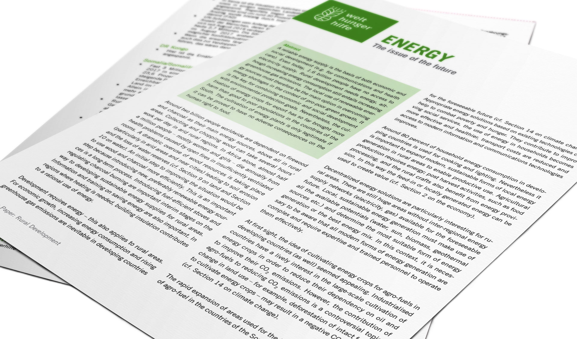 Title page of the Position Paper Rural Development: Energy