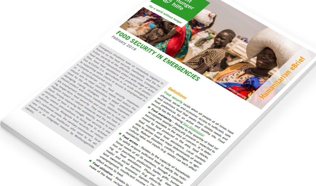 Humanitarian eBrief: Food Security in Emergencies