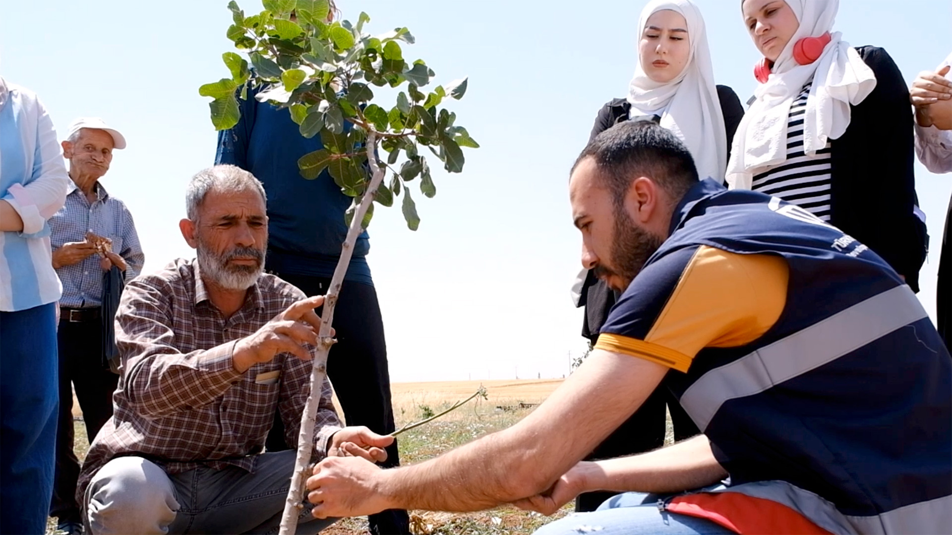 Miri El Hebşen, Geflüchteter aus Syrien in der Türkei, hat in einer landwirtschaftlichen Schulung gelernt, Pistazienbäume zu veredeln.